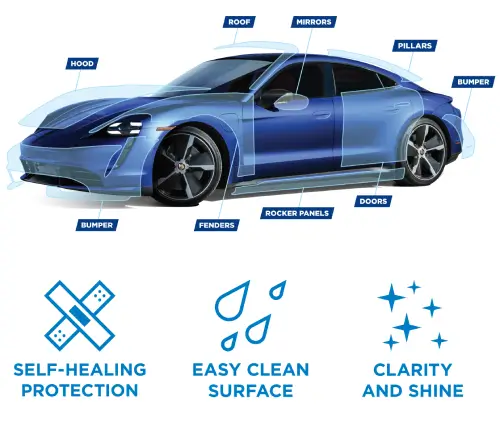 Paint protection coverage areas on a car